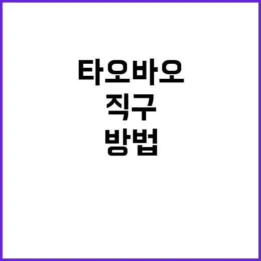 타오바오에서 직구하…