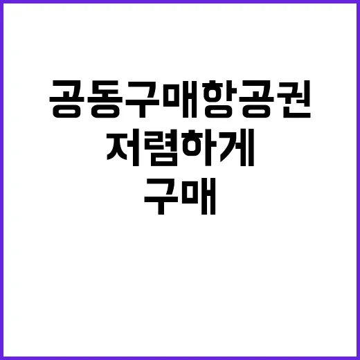 공동구매항공권으로 …