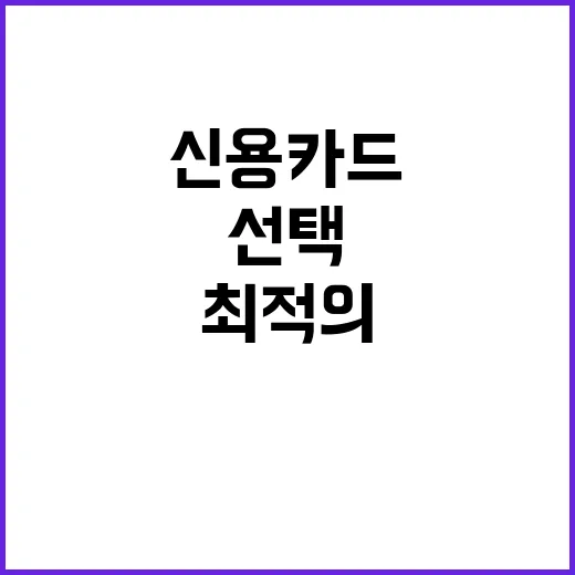 최적의 신용카드를 선택하는 방법