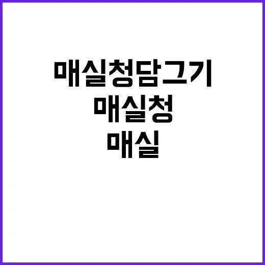 매실청 담그기, 이렇게 해보세요 - 요약