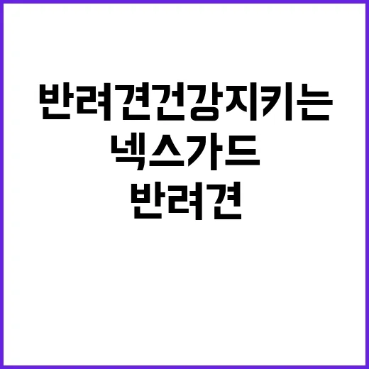 넥스가드로 반려견 건강 지키는 방법 - 요약
