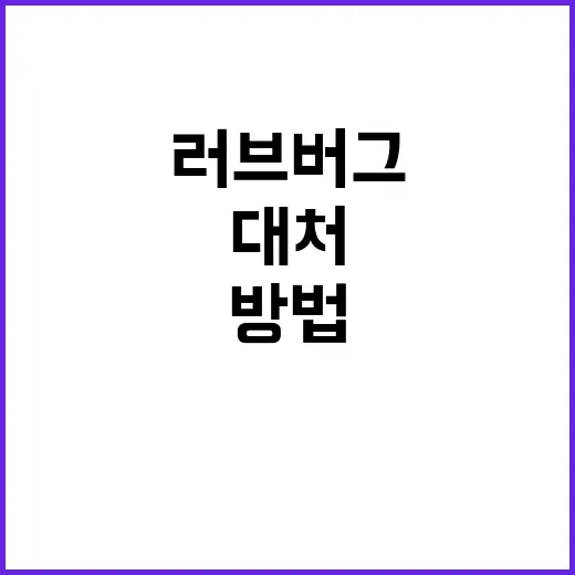 러브버그를 이해하고 대처하는 방법 - 요약
