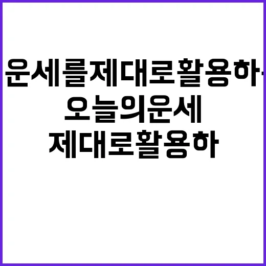 오늘의 운세를 제대로 활용하는 방법 - 요약