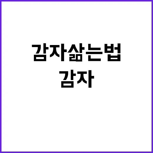 감자 삶는 법, 정말 간단하게 알려드립니다! - 요약