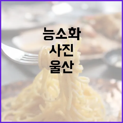 울산 능소화 보러 골목을 걸어봤더니, 사진보다 타이밍이 더 중요했다 - 요약