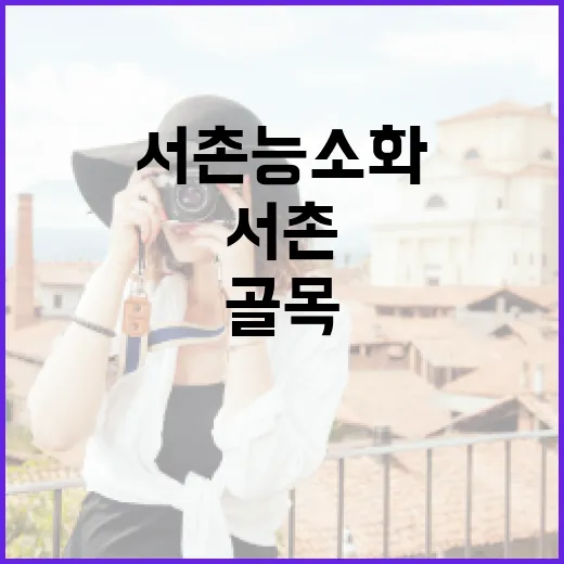 서촌 능소화 골목 직접 걸어봤더니, 사진보다 먼저 챙길 게 있더라 - 요약