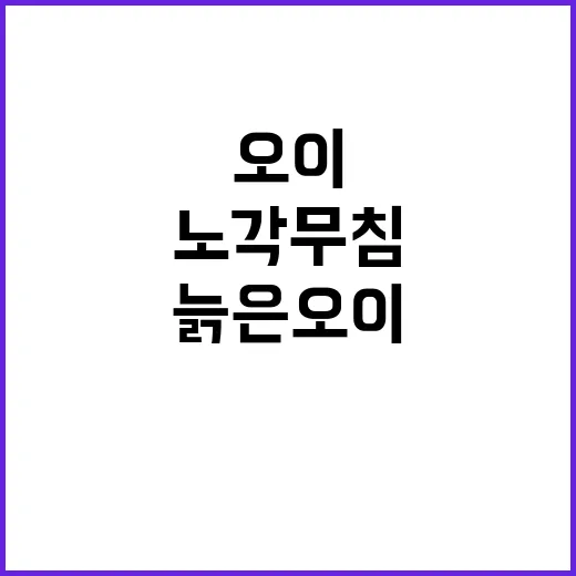 노각무침 직접 해봤더니, 늙은 오이가 밥도둑 되는 데 걸린 시간 - 요약