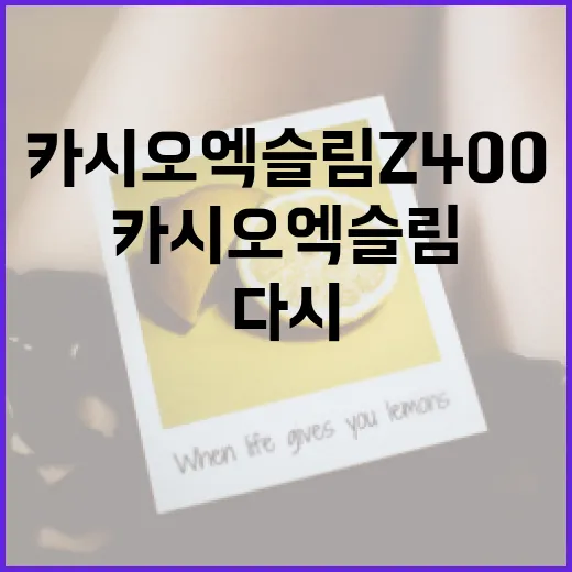 카시오 엑슬림 Z400을 다시 꺼내 찍어봤더니, 폰카와 다른 재미가 있었다 - 요약