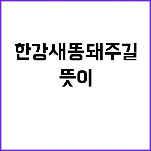 한강새똥돼주길 뜻이 궁금해서 직접 문장부터 쪼개봤다 - 요약