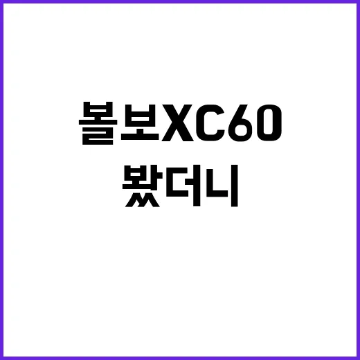 볼보 XC60을 이틀 타봤더니, 왜 조용히 많이 팔리는지 조금 알겠더라 - 요약
