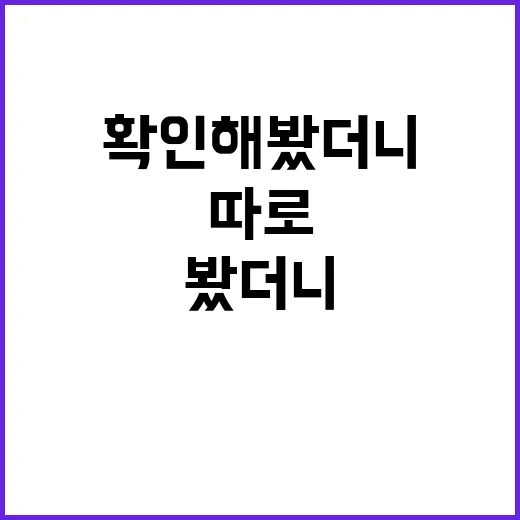 진에어 타기 전에 직접 확인해봤더니, 돈 아끼는 포인트가 따로 있었다 - 요약