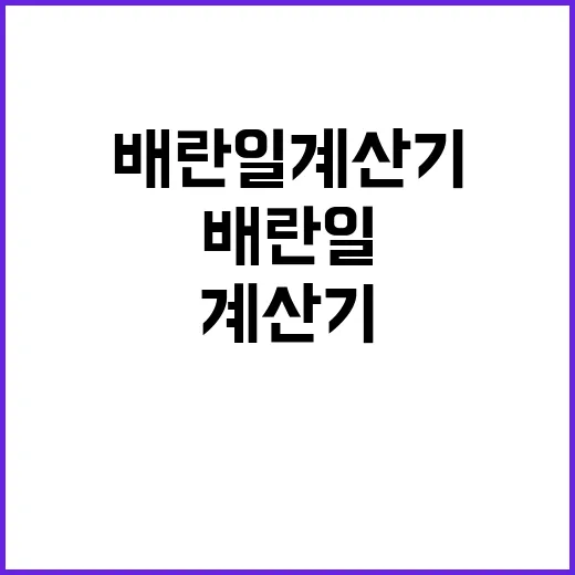배란일계산기 며칠 써봤더니 날짜보다 기록이 더 중요했다 - 요약
