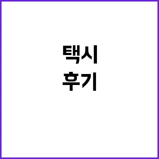 비 오는 밤 카카오택시가 안 잡혀서 직접 이것저것 바꿔본 후기 - 요약