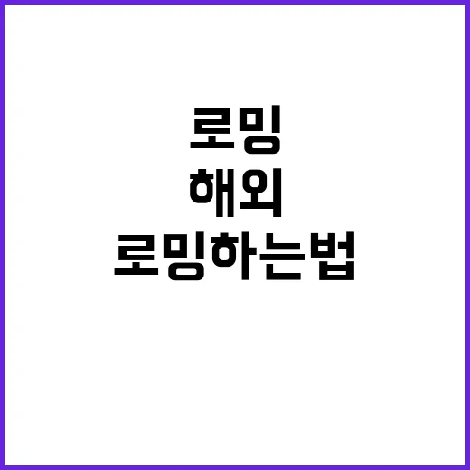 해외 나가기 전 로밍하는법 직접 챙겨봤더니 공항에서 덜 헤맸다 - 요약