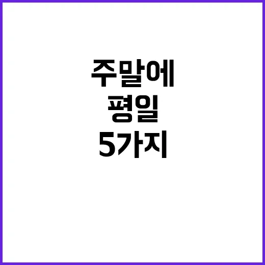 밑반찬 5가지를 주말에 만들어봤더니 평일 저녁이 얼마나 달라졌나 - 요약