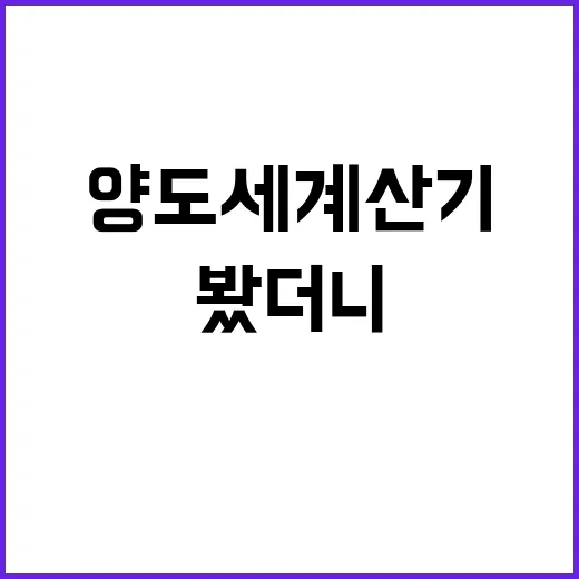 집 팔기 전 양도세 계산기를 두드려봤더니, 제일 먼저 봐야 할 건 따로 있었다 - 요약