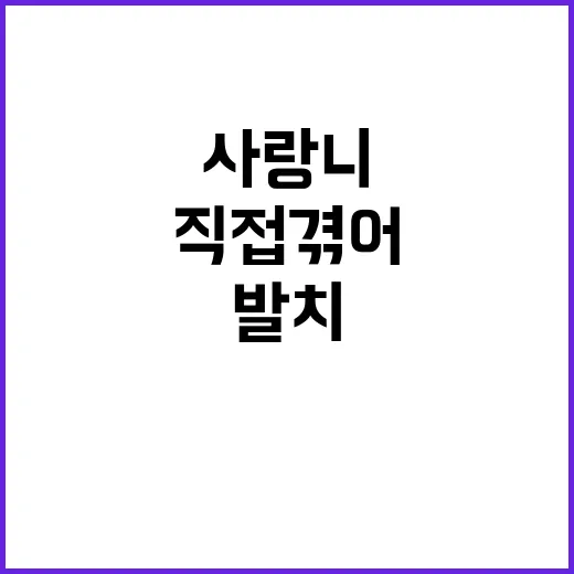 사랑니발치 직접 겪어보니 제일 힘든 건 발치보다 그 다음날이었다 - 요약
