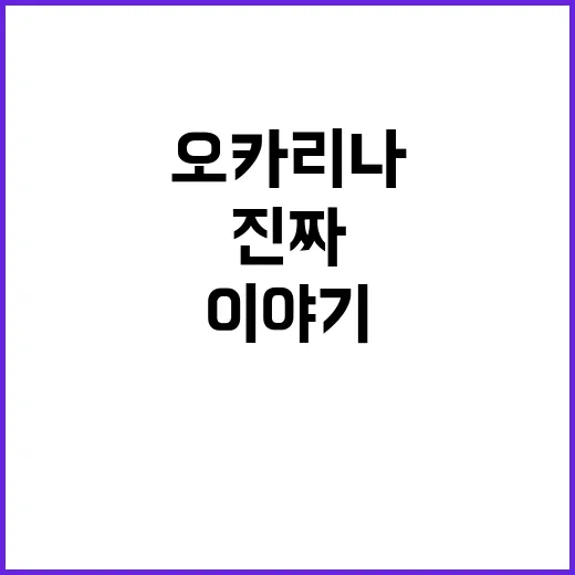 오카리나를 집에서 불어봤더니, 생각보다 어려웠던 작은 악기의 진짜 이야기 - 요약