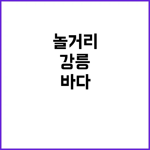 강릉놀거리 하루에 몰아다녀봤더니 바다만 보고 오기엔 아까웠다 - 요약