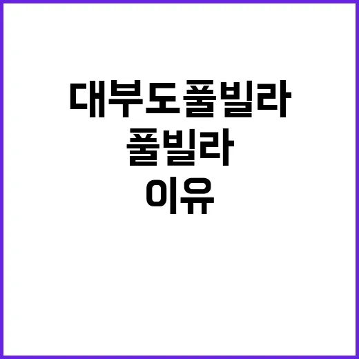 대부도풀빌라 직접 고를 때 생각보다 오래 걸렸던 진짜 이유 - 요약