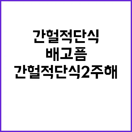 간헐적단식 2주 해봤더니, 배고픔보다 뜻밖의 문제가 더 컸다 - 요약