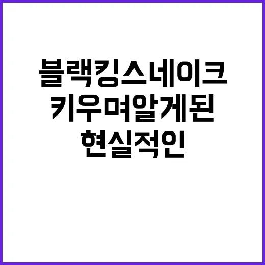 블랙킹스네이크를 직접 키우며 알게 된 의외로 현실적인 이야기 - 요약