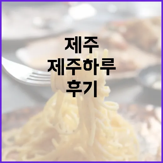 제주모멍 검색하다가 직접 짜본 느린 제주 하루 후기 - 요약