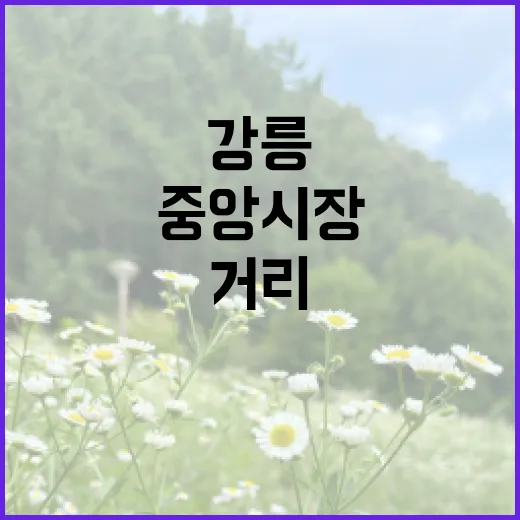 강릉 월화거리 밤에 직접 걸어봤더니, 중앙시장만 보고 가긴 아까웠다 - 요약