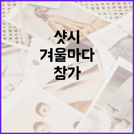 겨울마다 창가가 추워서 샷시 상태를 직접 확인해봤더니 - 요약