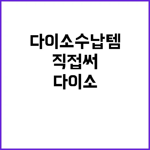 다이소 수납템 5가지 직접 써봤더니 집 안 잔소리가 줄었다 - 요약
