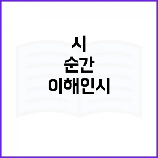 이해인 시를 다시 읽어봤더니, 짧은 문장이 하루를 붙잡아주는 순간이 있었다 - 요약