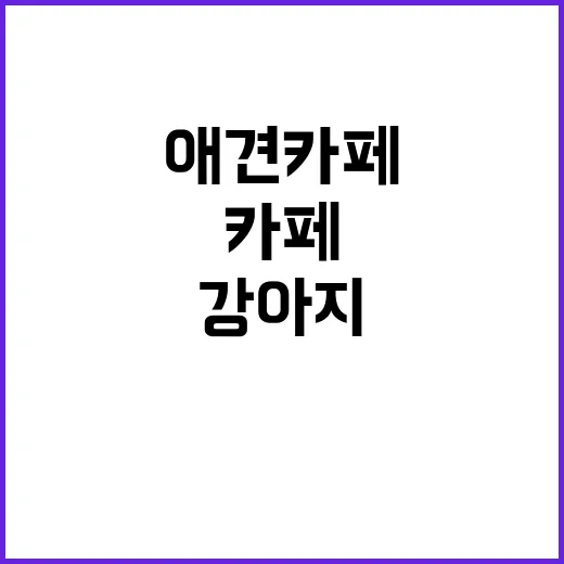 애견카페 처음 가봤더니, 강아지보다 사람이 더 준비해야 하더라 - 요약