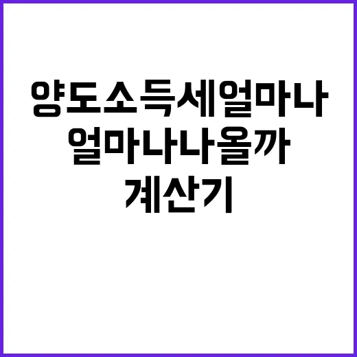 아파트 팔면 양도소득세 얼마나 나올까, 계산기 두드려본 솔직한 후기 - 요약