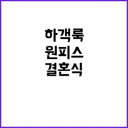 검은 원피스만 믿고 결혼식 갔다가 하객룩 기준을 다시 세운 이야기 - 요약