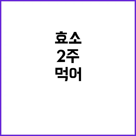 효소를 2주 먹어봤더니, 속이 편하다는 말의 진짜 의미를 알았다 - 요약