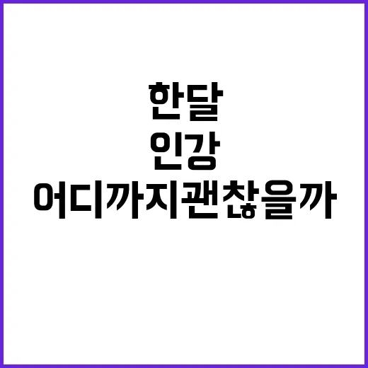 강남인강 한 달 직접 써봤더니, 싼 인강은 어디까지 괜찮을까 - 요약