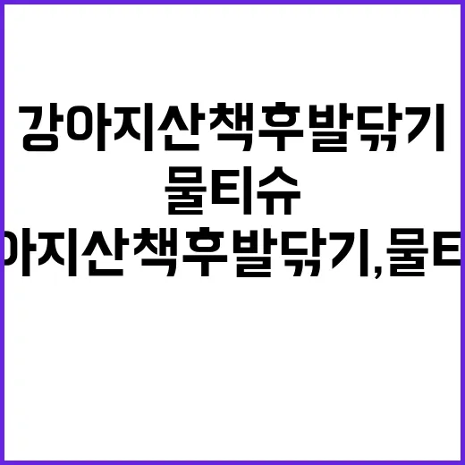 강아지 산책 후 발 닦기, 물티슈부터 발 세정컵까지 직접 써본 이야기 - 요약