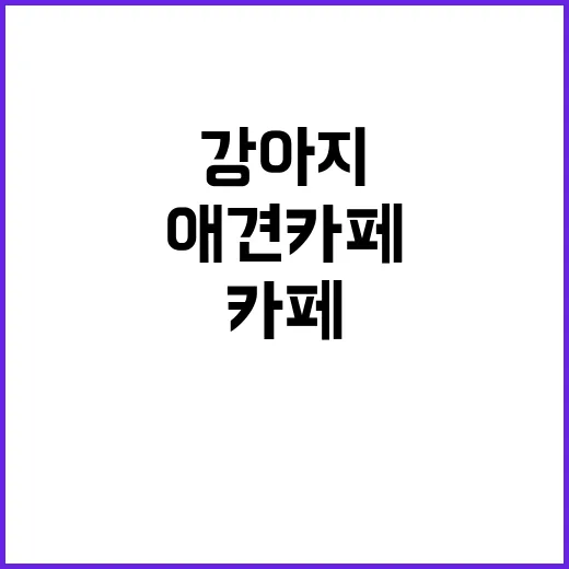 애견카페 처음 가봤더니, 강아지보다 사람이 더 배워야 할 게 많았다 - 요약