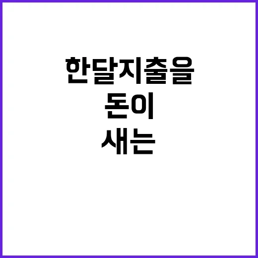 엑셀로 한 달 지출을 직접 적어봤더니 생각보다 새는 돈이 보였다 - 요약