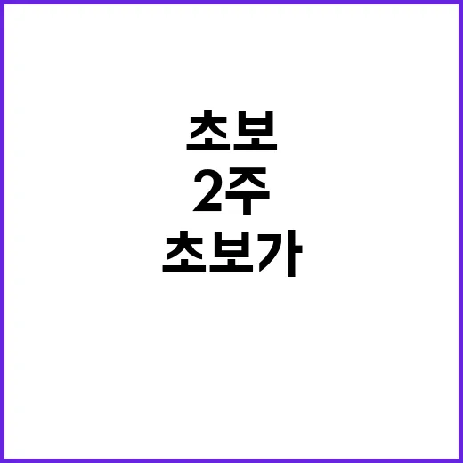 배틀그라운드 다시 깔고 2주 해봤더니, 초보가 막히는 지점은 따로 있었다 - 요약
