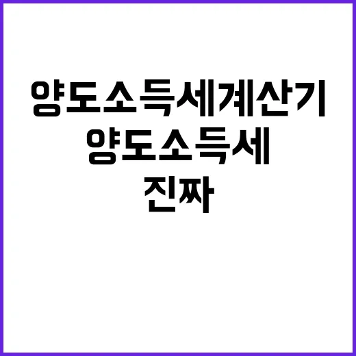 양도소득세 계산기 돌려보다가 직접 체크해본 진짜 순서 - 요약