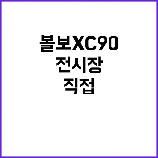 볼보XC90 전시장 가서 직접 앉아봤더니, 숫자보다 먼저 보인 것들 - 요약