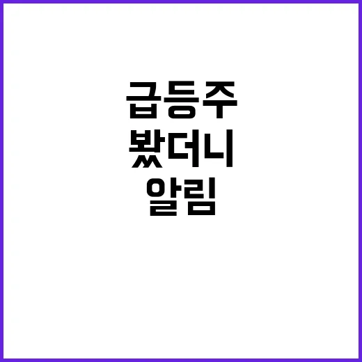 급등주 알림에 혹해서 직접 따라가 봤더니 남은 것들 - 요약