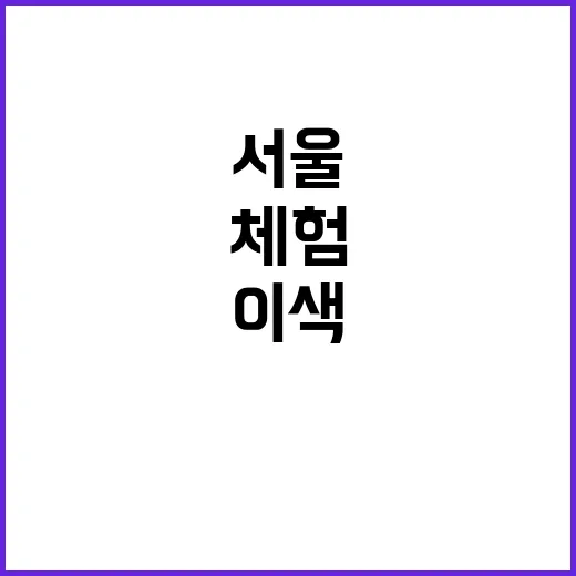 서울이색체험 직접 찾아다녀봤더니, 돈보다 취향이 더 중요했다 - 요약