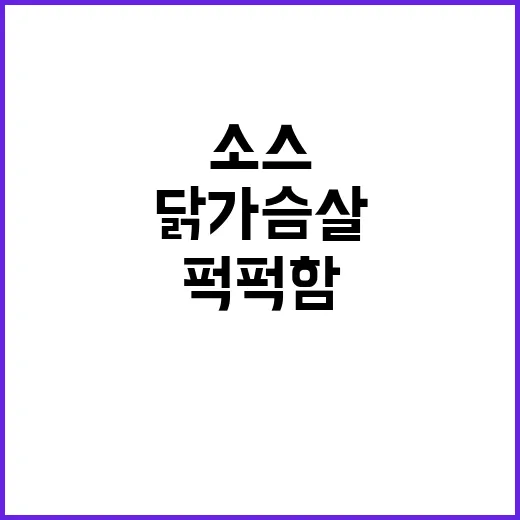 닭가슴살소스 바꿔가며 먹어봤더니, 퍽퍽함보다 질림이 더 문제였다 - 요약
