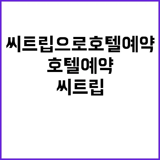 씨트립으로 호텔 예약해봤더니, 싸다고 바로 누르면 놓치는 것들 - 요약
