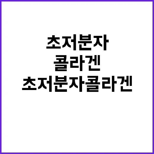 초저분자콜라겐 4주 먹어봤더니 알게 된 진짜 차이 - 요약