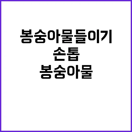 봉숭아물들이기 직접 해봤더니, 예쁘게 남는 손톱과 망하는 손톱은 따로 있었다 - 요약