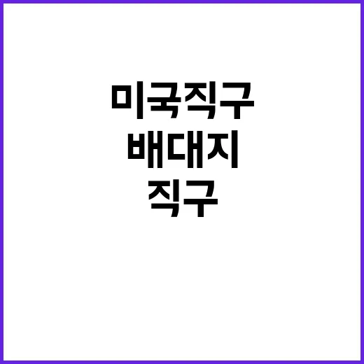 미국 직구하다가 배대지에서 멈칫한 날, 직접 고르는 기준을 다시 잡아봤다 - 요약