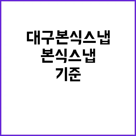 대구본식스냅 알아보다가 직접 체크해본 진짜 기준들 - 요약